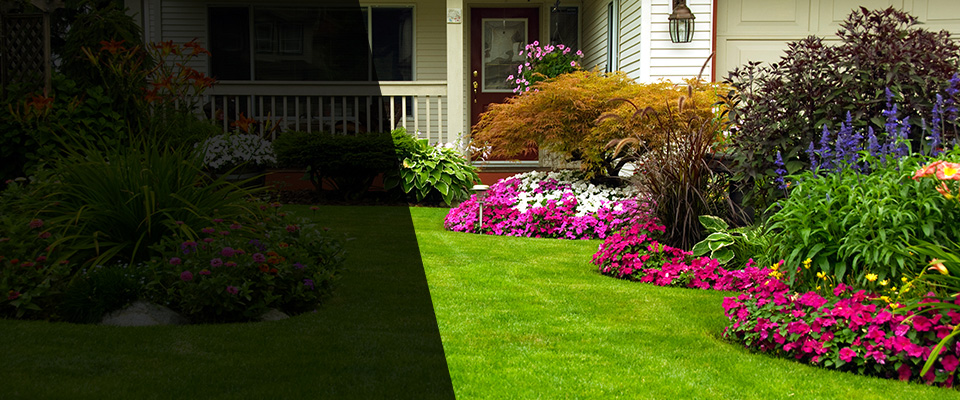 Williamstown Landscapers